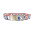 Patriotic USA Flag Dog Collar - metal silver