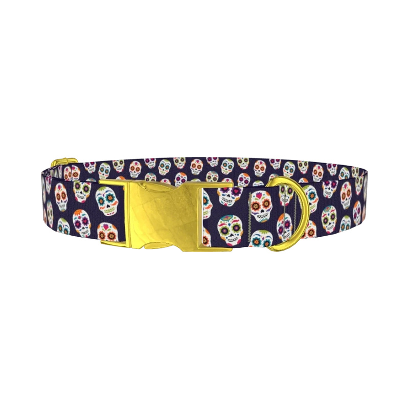 Sugar Skull Dog Collar - metal gold