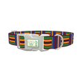 Azure Brown Green Stripe Dog Collar - plastic silver