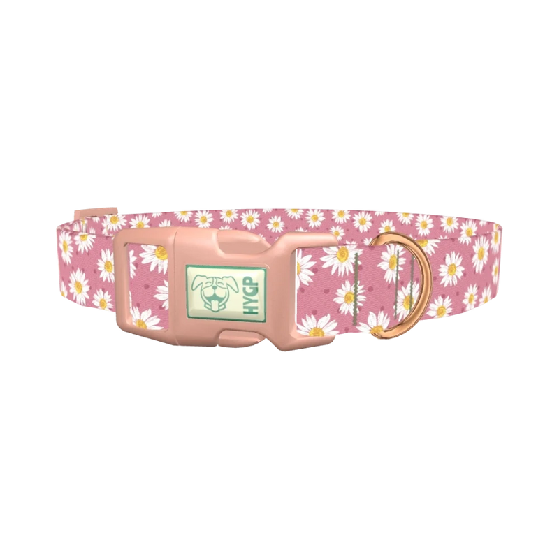 Pink Daisy Dog Collar - plastic rose gold