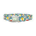 Colorful Beach Ball Pattern Dog Collar - plastic silver