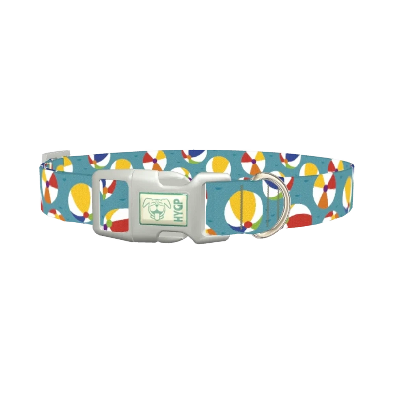 Colorful Beach Ball Pattern Dog Collar - plastic silver