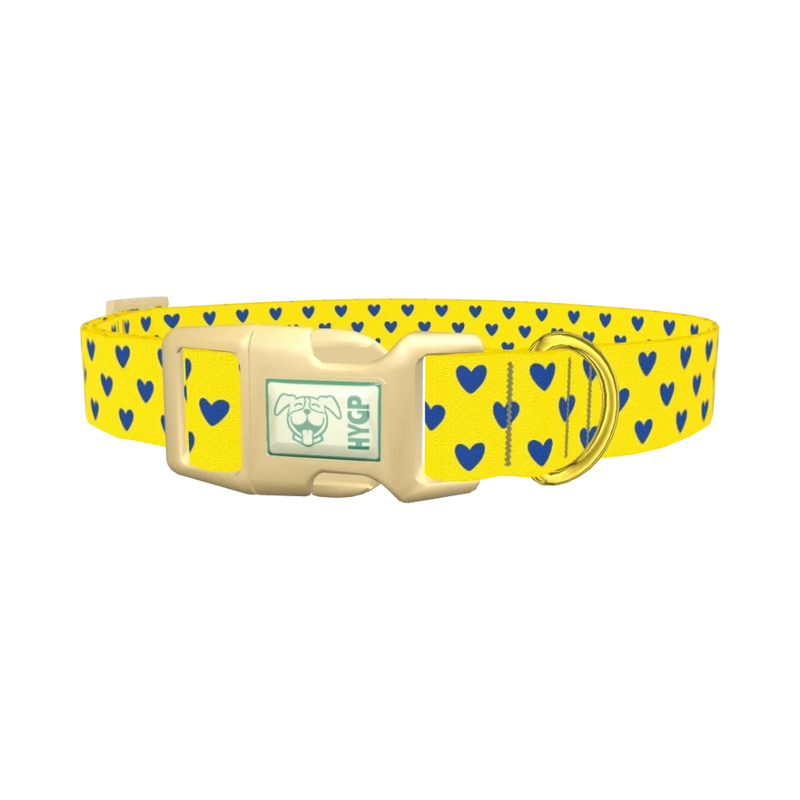 Blue Heart Dog Collar - plastic gold