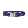 Zodiac Constellation Dog Collar - metal silver