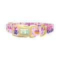 Birthday Cake Celebration Dog Collar - plastic gold