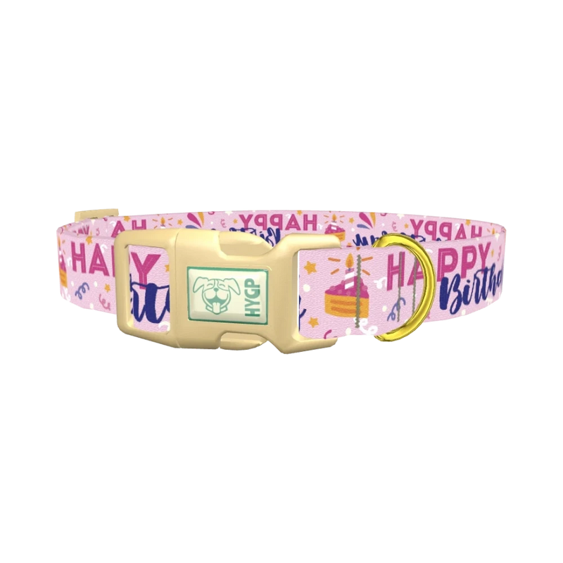 Birthday Cake Celebration Dog Collar - plastic gold
