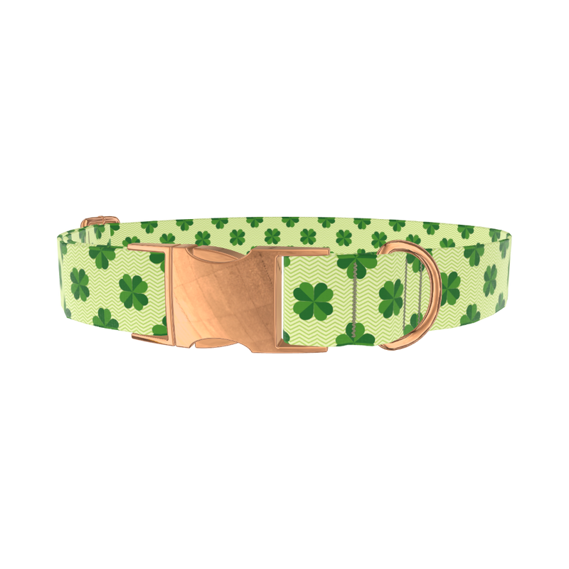Clover Chevron Dog Collar - metal silver