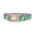 Summer Ice Cream Dog Collar - plastic rose gold