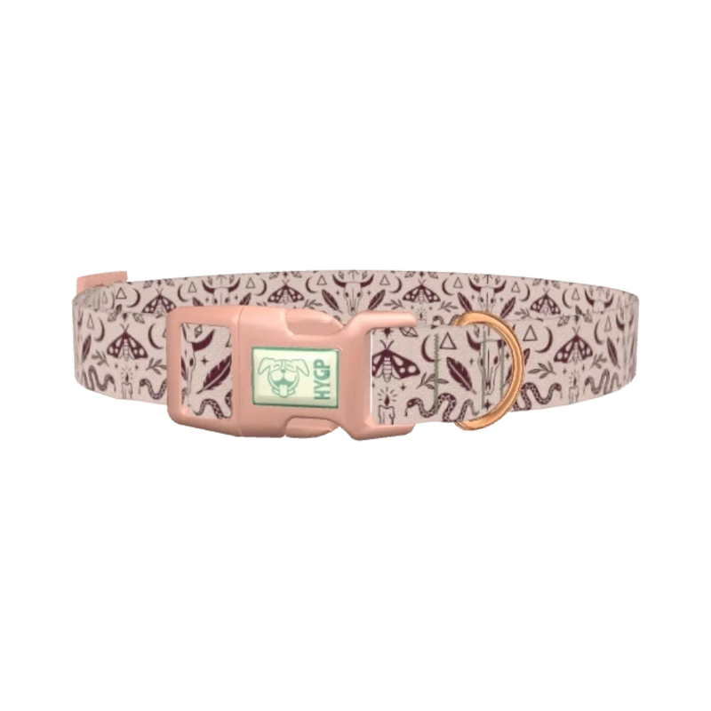 Halloween Witchy Dog Collar - plastic rose gold