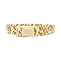 Floral Fruit Dog Collar - plastic silver