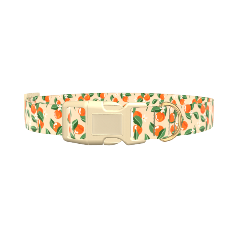 Floral Fruit Dog Collar - plastic silver