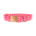 Valentine Love Heart Dog Collar - metal silver