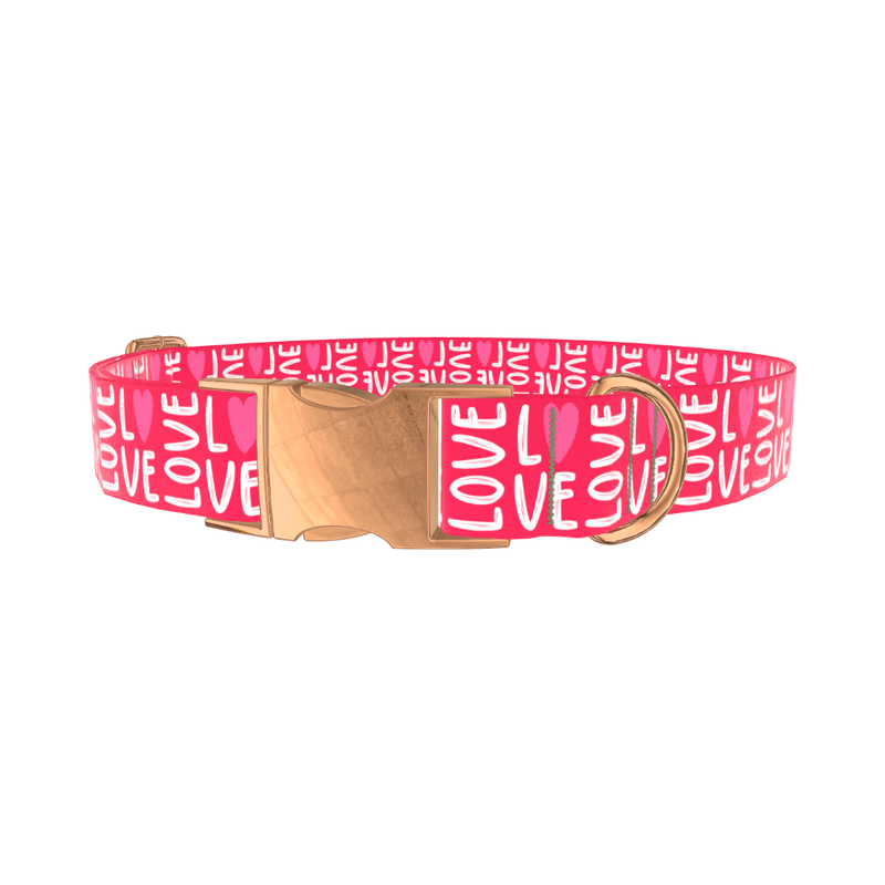 Valentine Love Heart Dog Collar - metal silver