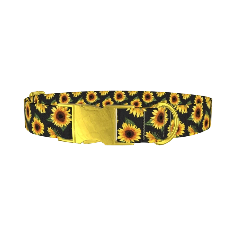 Sunflower Pattern Black Dog Collar - metal gold