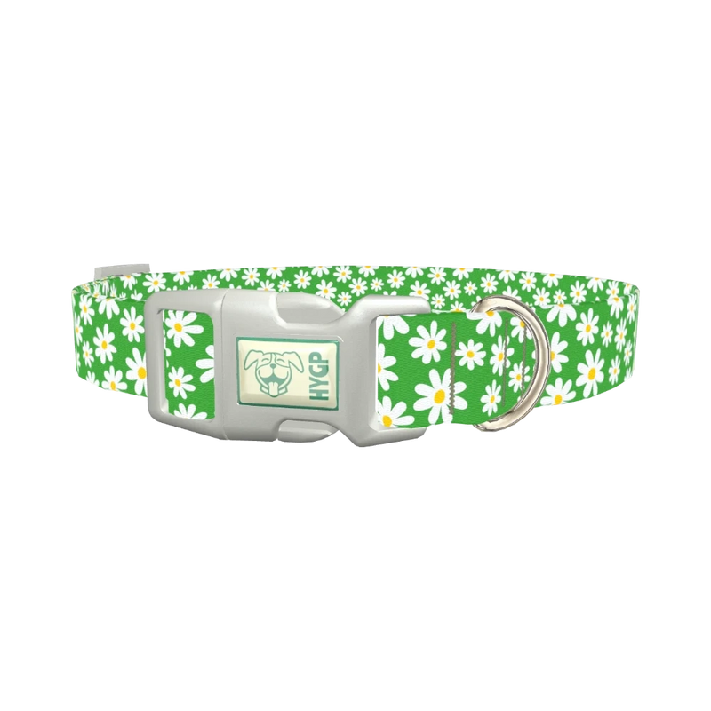Green Daisy Meadow Dog Collar - plastic silver