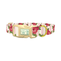 Striped Rose Pattern Dog Collar - plastic gold