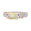 Pastel Polka Dot Dog Collar - plastic gold