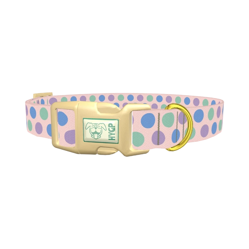 Pastel Polka Dot Dog Collar - plastic gold