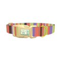 Green Striped Dog Collar - plastic gold