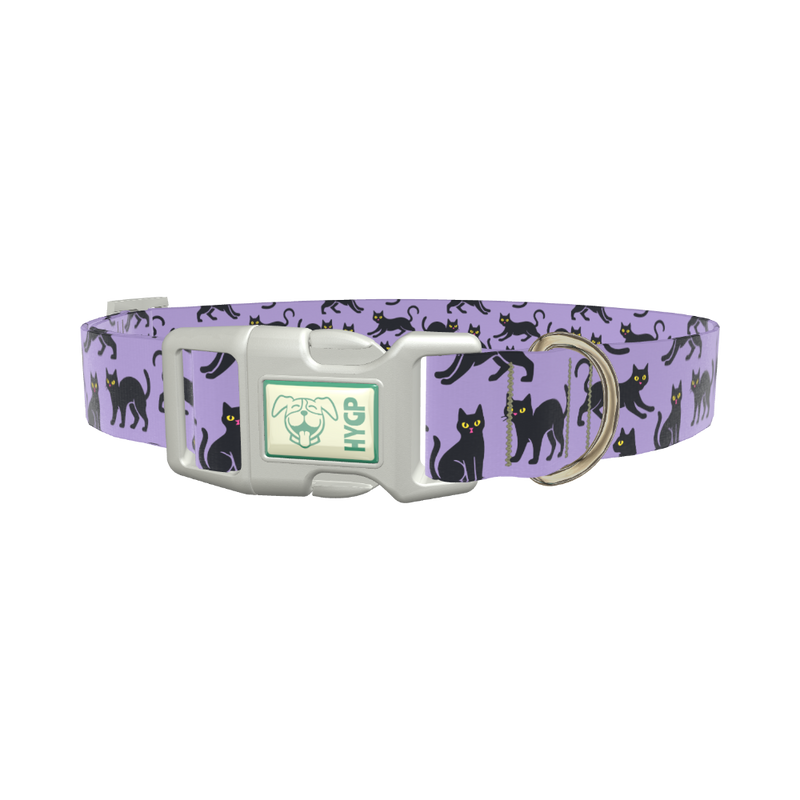 Purple Black Cat Halloween Dog Collar - plastic rose gold