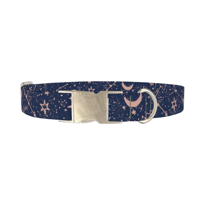 Cosmic Starry Night Dog Collar - metal silver