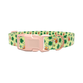 St. Patrick's Day Beer Clover Dog Collar - plastic gold