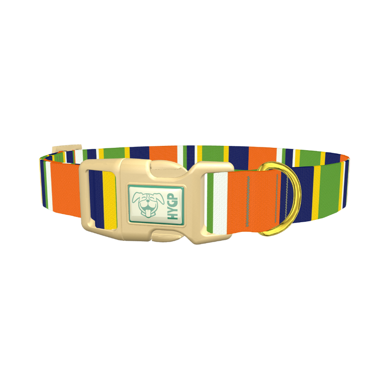 Striped Dog Collar - plastic gold