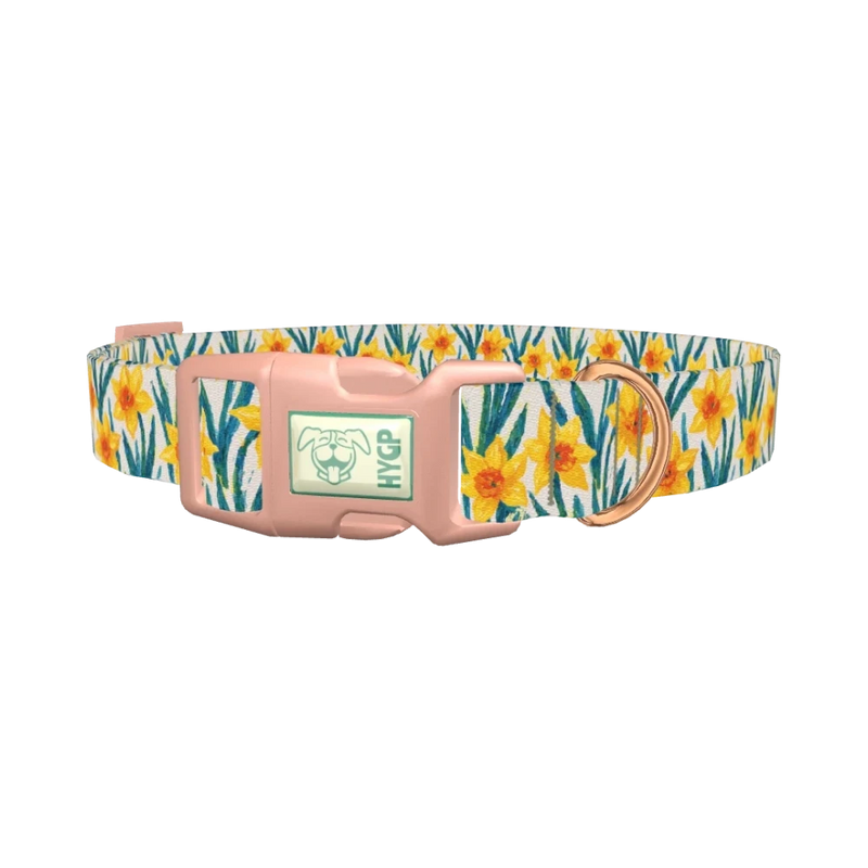 Yellow Daffodil Dog Collar - plastic rose gold