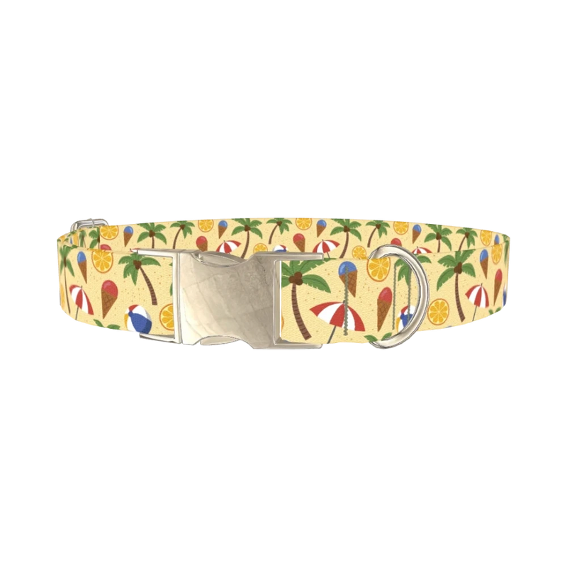 Beach Summer Dog Collar - metal silver