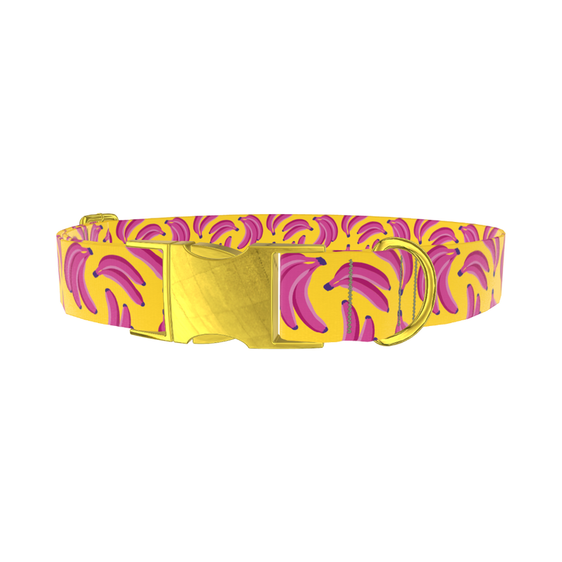 Fruit Banana Dog Collar - metal gold