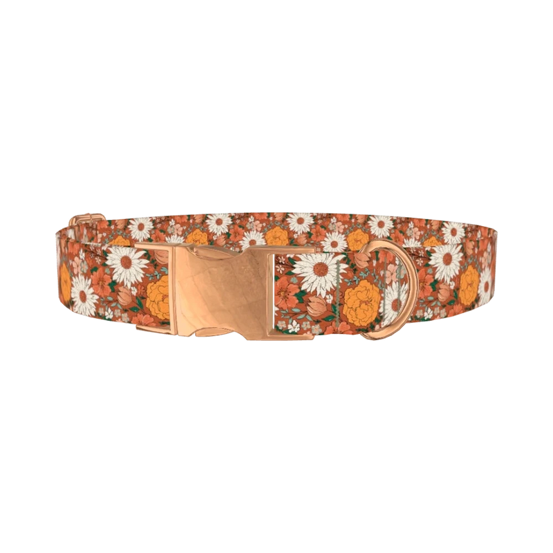 Autumn Floral Dog Collar - metal rose gold