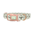 Western Skull and Arrows Dog Collar - plastic rose gold