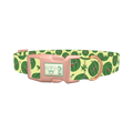 Watermelon Fruit Dog Collar - plastic rose gold