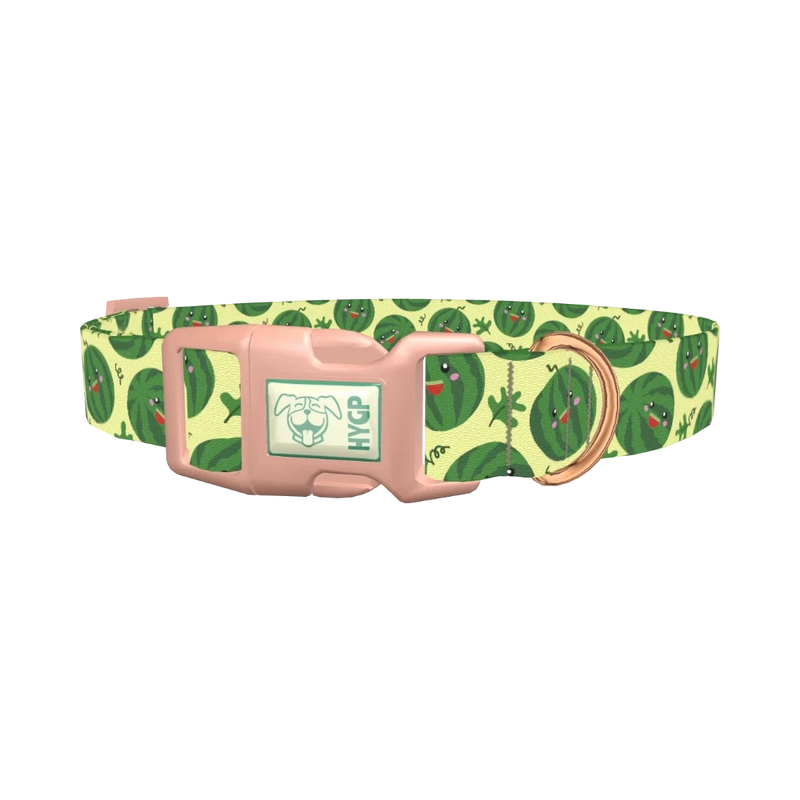 Watermelon Fruit Dog Collar - plastic rose gold