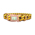 Brown Background Gold Chain Dog Collar - plastic rose gold