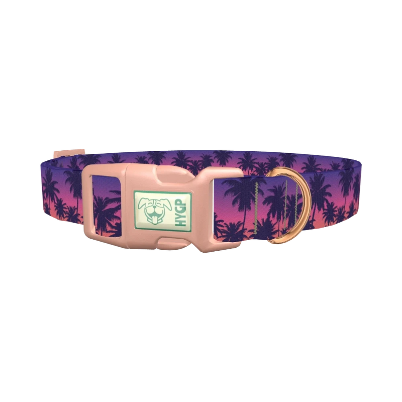Tropical Sunset Dog Collar - plastic rose gold