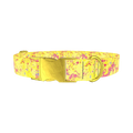 Yellow Abstract Splatter Dog Collar - metal gold
