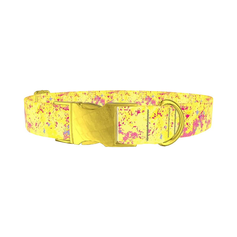 Yellow Abstract Splatter Dog Collar - metal gold