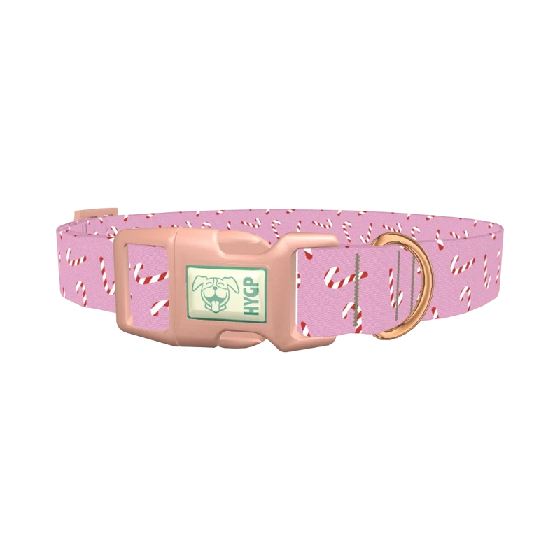 Candy Cane Dog Collar - plastic rose gold