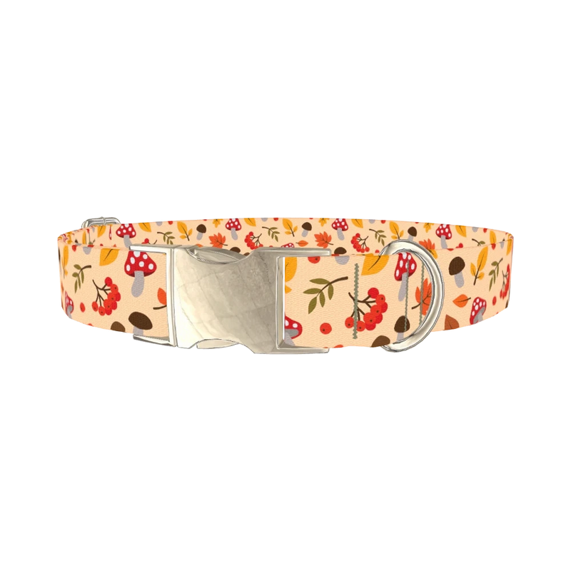 Autumn Leaves and Mushrooms Dog Collar - metal silver