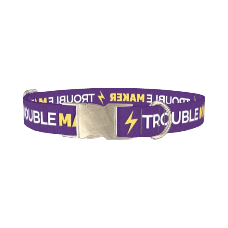 Trouble Maker Dog Collar - metal silver