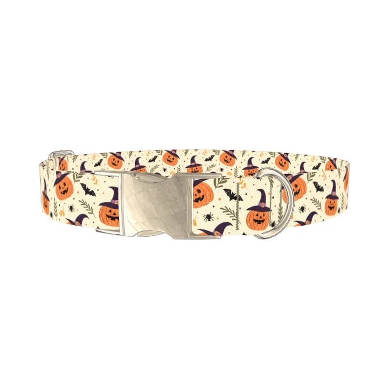 Witchy Pumpkin Halloween Dog Collar - metal silver