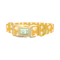 Beach Seashell Dog Collar - plastic gold