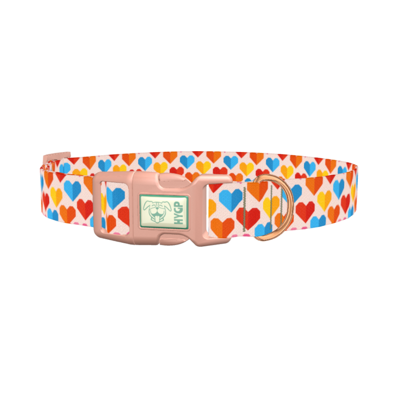 Colorful Geometric Heart Dog Collar - plastic rose gold