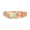Tribal Triangle Dog Collar - plastic gold