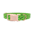 Green St. Patrick's Text Dog Collar - plastic gold