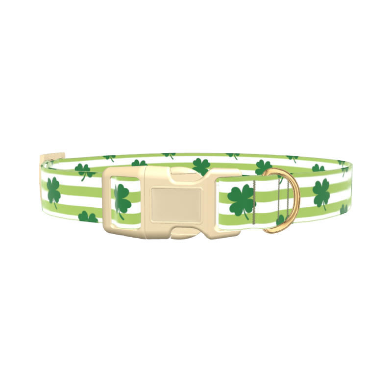 Clover Stripe Dog Collar - plastic silver