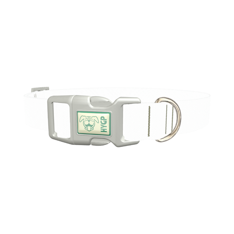 Dinosaur UFO Dog Collar - plastic silver