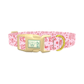 Christmas Holiday Dog Collar - plastic gold