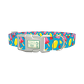 Summer Ice Cream Dog Collar - plastic silver